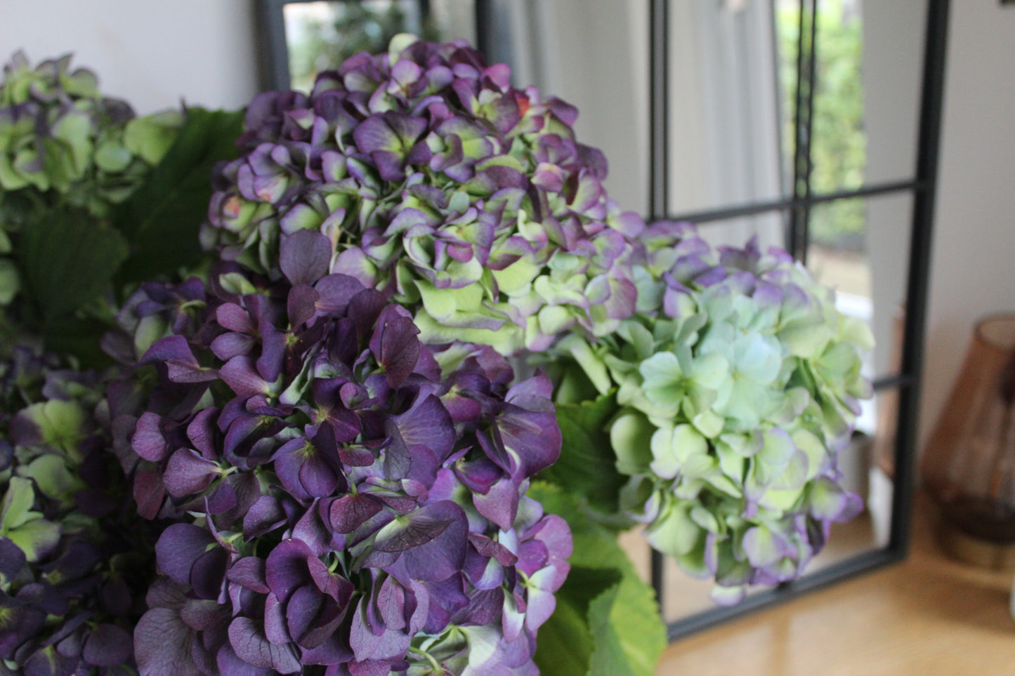 How To Look After Your Hydrangeas